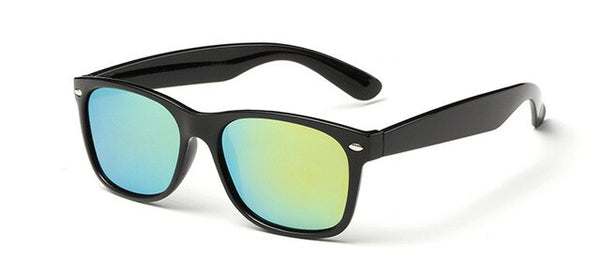 Polarized Black Frame Sunglasses